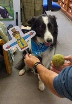 Flint the School Therapy dog - Court Fields students achieved a total of £825 to support the work of Reminiscence Learning