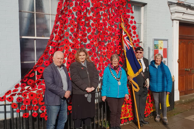 Town's knitted and crocheted poppy displays unveiled