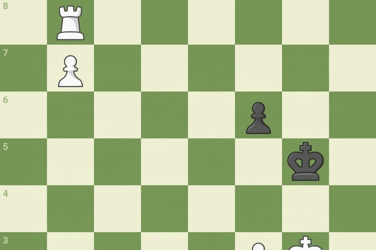 Wellington Chess Club's season under way