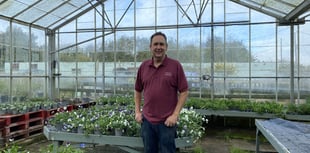 Chelston Nurseries to change hands after 73 years