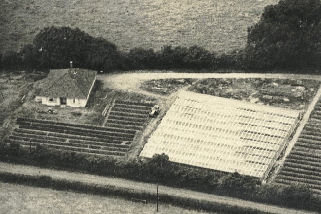 Chelston Nursaries photographed from above in the mid 1950s