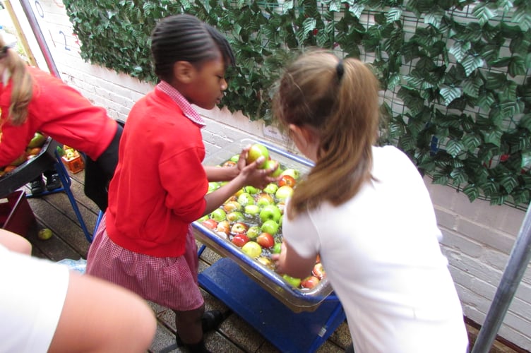 Langford Budville CoE Primary School hosted its annual Apple Day with apple-based activities for their students. 