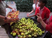 Local school hosts annual Apple Day