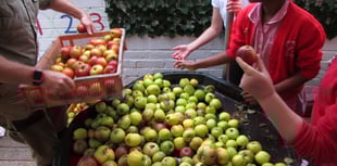 Local school hosts annual Apple Day