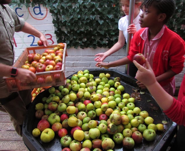 Local school hosts annual Apple Day