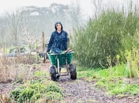 The year to date for Transition Town Wellington's Fox's Field