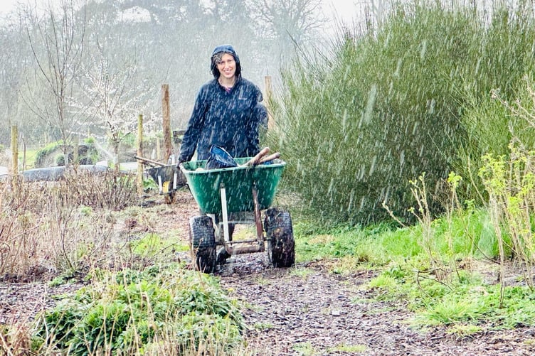 Just another typical English summer's day in Fox's Field for Transition Town Wellington gardeners!