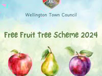 Council offers free fruit trees to residents