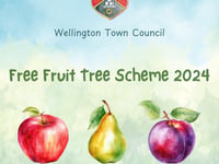 Council offers free fruit trees to residents