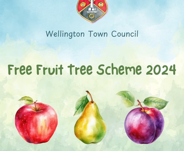 Council offers free fruit trees to residents