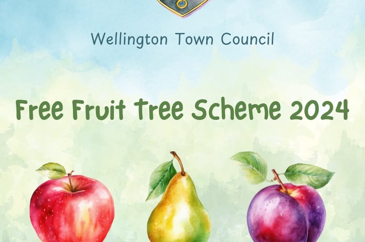 Council offers free fruit trees to residents