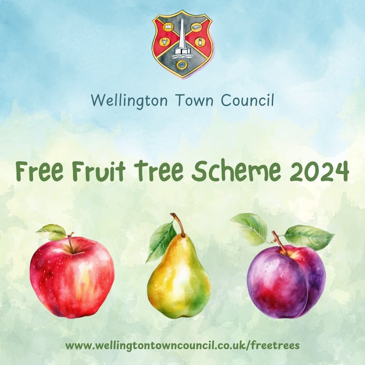 Council offers free fruit trees to residents