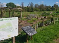 Transition Town marks three years since Forest Garden tree planting