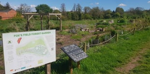 Transition Town marks three years since Forest Garden tree planting