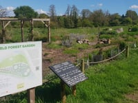 Transition Town marks three years since Forest Garden tree planting