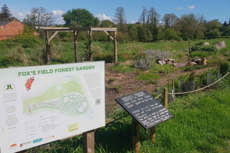 Fox's Field, in Tonedale, is being managed by Transition Town Wellington.