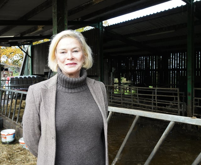 Calls for urgent NHS dentistry reform as visits 'at their lowest'