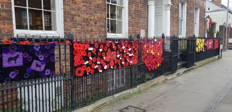 Women's Institute poppy displays in Wellington town centre.