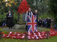 VIDEO: Huge turnout for poignant Remembrance events in Wellington
