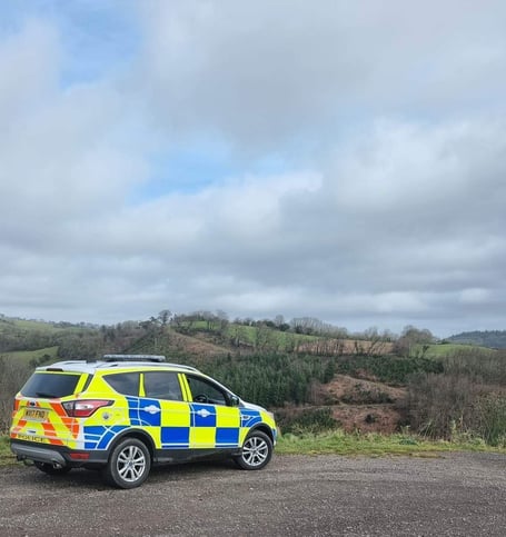 A man has been arrested in Wellington after a rape allegation on the Blackdown Hills.
