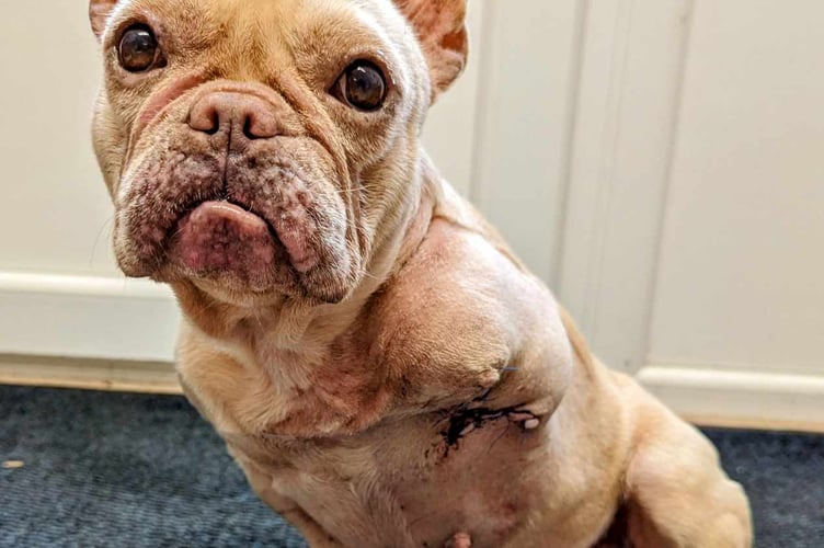 Pepsi now (RSPCA)