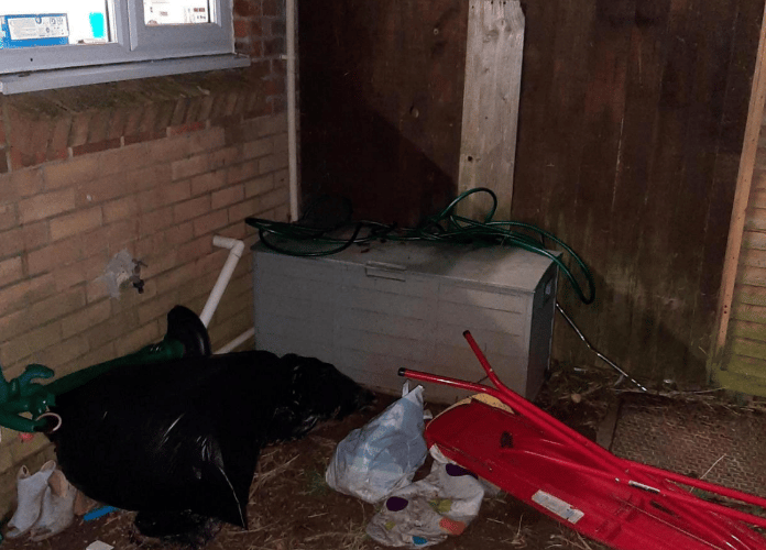 Pepsi's container (RSPCA)