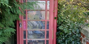 Buyer wanted for village's old red telephone box which 'nobody sees'