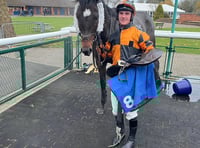 Vision De Maine in second successive win over hurdles