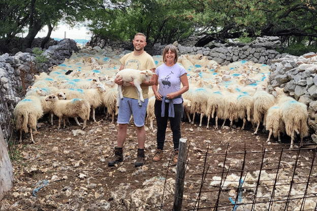 Exmoor-based Hand2Shear is helping farmers in the western Balkans shear their sheep each year.