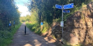 Council unveils plans to improve Wellington cycling and walking routes
