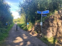 Council unveils plans to improve Wellington cycling and walking routes