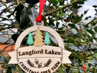 Local creatives bring Lapland to Wellington with new festive venture