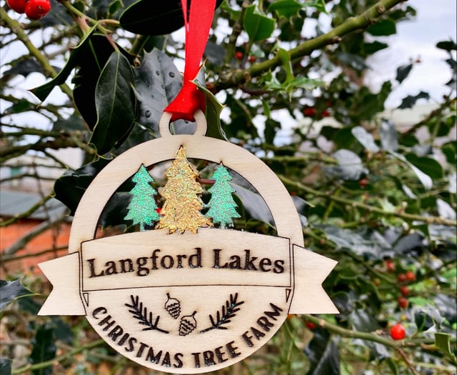 Local creatives bring Lapland to Wellington with new festive venture