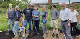 Wellington community garden win share of £10,000 worth of plants