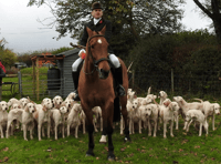 Taunton Vale Harriers to host Boxing Day Meet in Wiveliscombe
