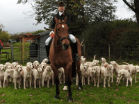 Taunton Vale Harriers to host Boxing Day Meet in Wiveliscombe