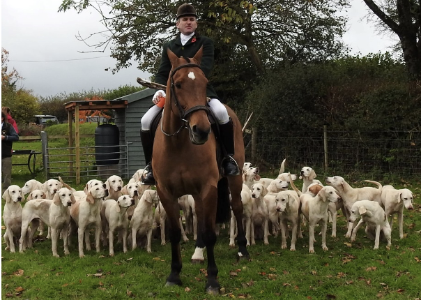The Taunton Vale Harriers Boxing Day Meet will be held once again in The Square, Wiveliscombe.