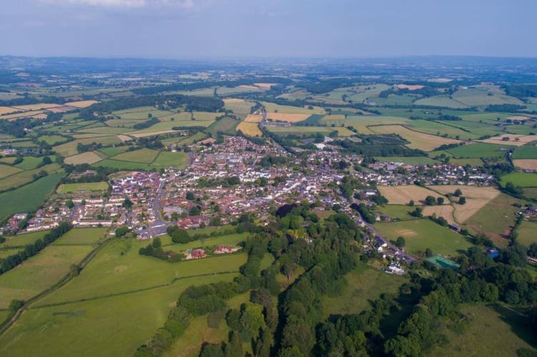 Wiveliscombe environmental collective, Wild Wivey, launches with new website 