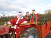 Santa arrives in Rumwell on vintage tractor ahead of grotto opening
