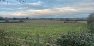 Residents furious council will not contest plans for 315 new homes