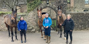 West Somerset pair nearing 20 winners 
