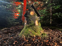 Pictures show 'magic' of Langford Lakes' new festive Enchantment trail