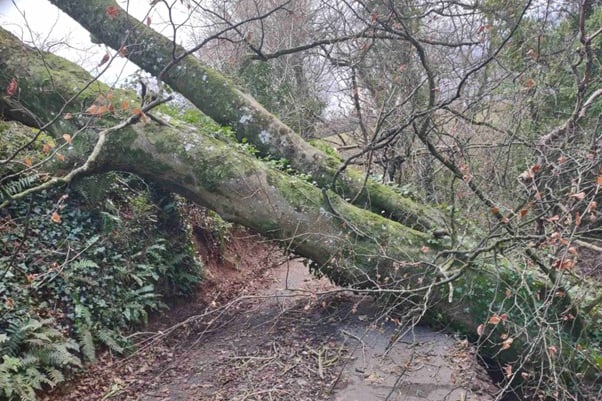 Chapel Leigh Road Lydeard St Lawrence