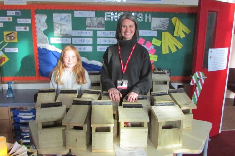 Langford Budville CoE host a successful Christmas Fair - The bird boxes were a crowd favourite