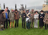 Thirty-three winners for Pipe's yard 