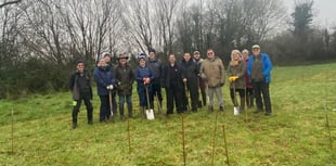 Project to plant 3,000 trees on 64-acre 'green corridor' underway