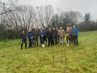 Project to plant 3,000 trees on 64-acre 'green corridor' underway