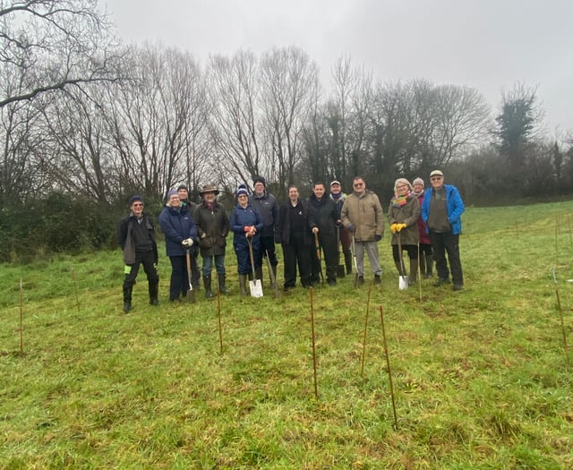 Project to plant 3,000 trees on 64-acre 'green corridor' underway