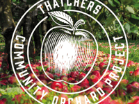 Cider firm giving away apple trees to community groups
