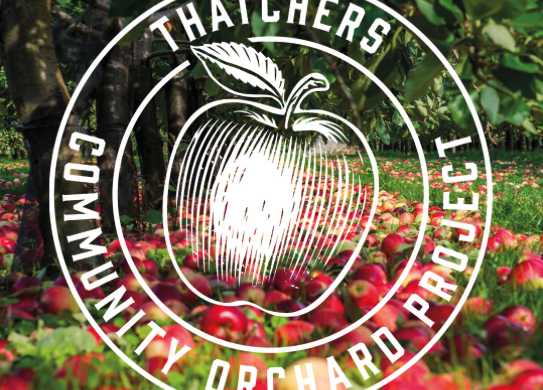 Cider firm giving away apple trees to community groups